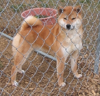 IMG_4929 Takeo_0.JPG